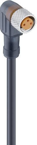 Lumberg Automation 14005-1 Sensor-Aktor-Steckverbinder M8 Buchse gewinkelt Schwarz 3-polig 5,00 m - Bild 1