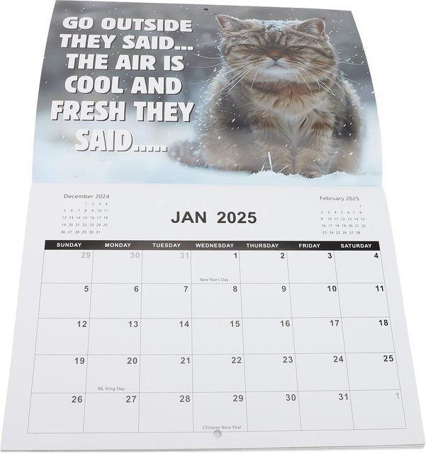 GoolRC Wandkalender 2025 Wütende Katze in Grau und Mehrfarbig, B: 28,5 cm, H: 21,0 cm - Bild 1