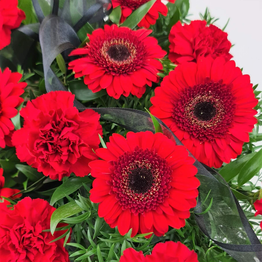 Blumenversand Edelweiß Arrangement Gerbera Carnation Greenery Mixed Red Sympathy and funeral - Bild 3