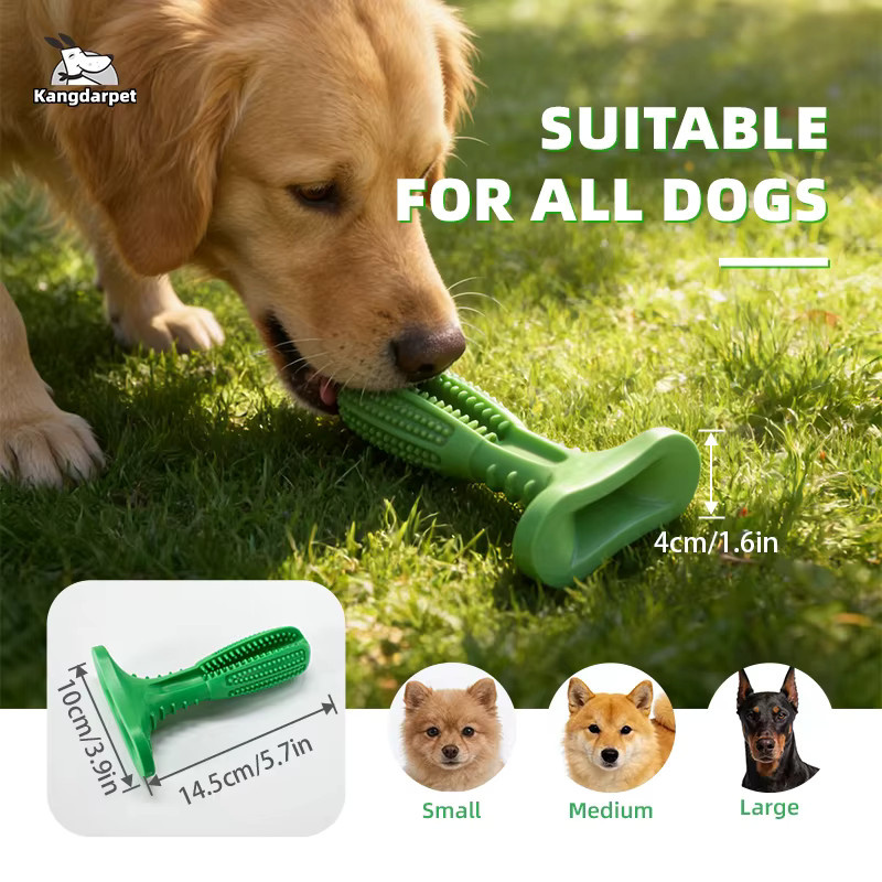Kangdarpet Hundespielzeug, Zahnbürsten-Quietschspielzeug, Zahnreinigungszubehör - Bild 2