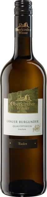 Oberkircher Pinot Grigio Weißwein, Baden, trocken, 2025, 0,75 l - Bild 1