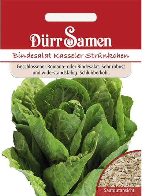 Dürr Bindesalat Kasseler Strünkchen Saatgut 500 g - Bild 1