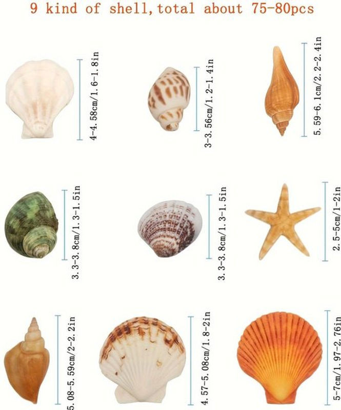 SZ-JZQ Muschel- und Seestern-Set in verschiedenen Größen, mehrfarbig, maritimes Dekorationsset für Aquarium, Vasenfüllung, Hochzeit und DIY-Bastelarbeiten - Bild 1