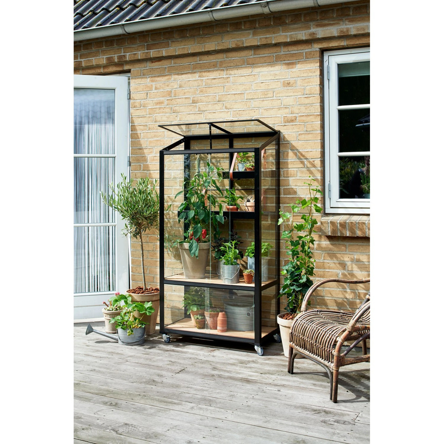 Juliana Urban City Greenhouse Gewächshaus aus Aluminium und Sicherheitsglas in Anthrazit, B: 80 cm, T: 40 cm, H: 60,3 cm - Bild 2