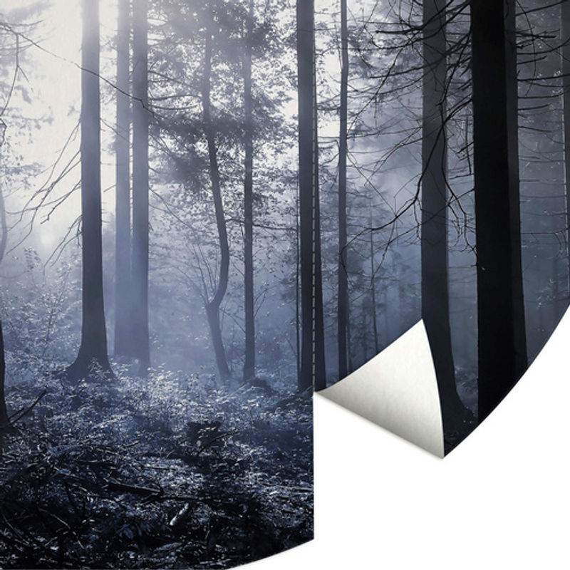 K&L Wall Art Vliestapete Runde Sonnenstrahlen Wald Blau, mehrfarbig, matt, B: 284 cm, H: 284 cm - Bild 3