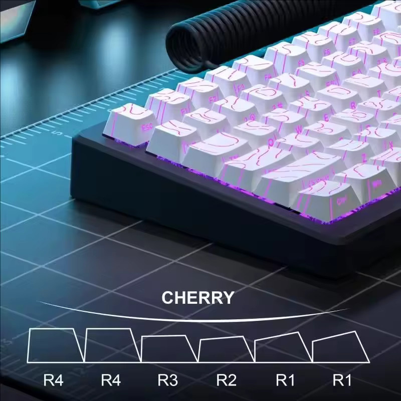 Topografische Tastenkappen 4.0-Version Shine Through für mechanische MX Gamer-Tastaturen, PBT Cherry Profile mit Side Print und Hintergrundbeleuchtung, Schwarz/Weiß - Bild 3