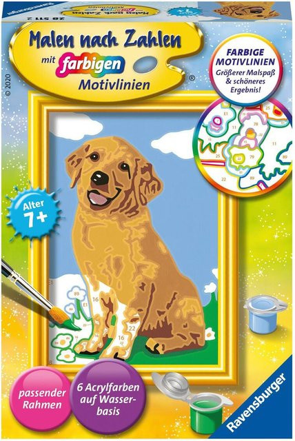 Ravensburger Kleiner Golden Retriever, Malen nach Zahlen, ab 7 Jahre - Bild 1
