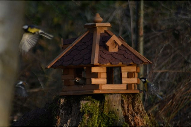 Dobar Rustikales XL-Vogelfutterhaus im Blockhaus-Stil aus Kiefernholz mit rotem Bitumendach und 6 Einfluglöchern in Braun/Dunkelbraun - Bild 1