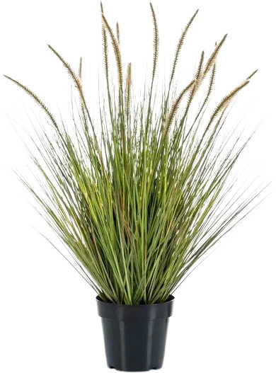 Künstliches Lampenputzergras Aplanta mit einzelnen Halmen, Höhe: 85 cm - Bild 1