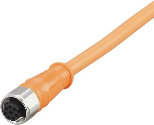 ifm electronic Anschlussleitung E12400 Buchse gerade, orange, 8-polig, 15 m - Bild 1
