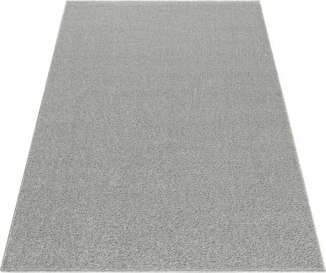 Ayyildiz Kurzflorteppich Ata Creme B/L: 280 x 370 cm - Bild 1