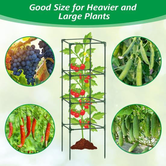 Amusedly Tomatenkäfig Set, höhenverstellbares Gemüsegitter für vertikale Kletterpflanzen und Blumen - Bild 4