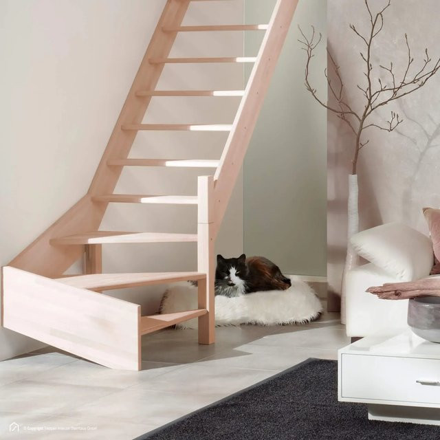Treppen Intercon Holztreppe Casablanca Raumspartreppe aus Buche Massiv Naturbelassen Rechtsgewendelt, Breite: 80 cm - Bild 1