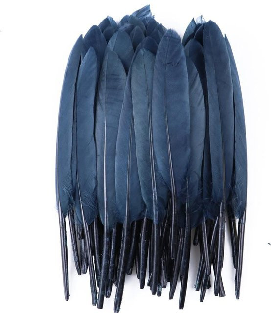 XQ We Wantice Natürliche Blaue Gänsefedern mit hartem Kiel für Handwerk und Heimdekoration, Länge: 10-15 cm - Bild 1