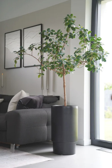 Blumentopf Pflanzkübel ESCADA Rund aus Fiberglas in Schwarz Matt - Bild 1