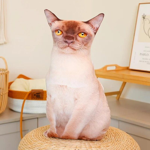 3D Katze Plüschtier, Stofftier, ab 14 Jahren - Bild 1