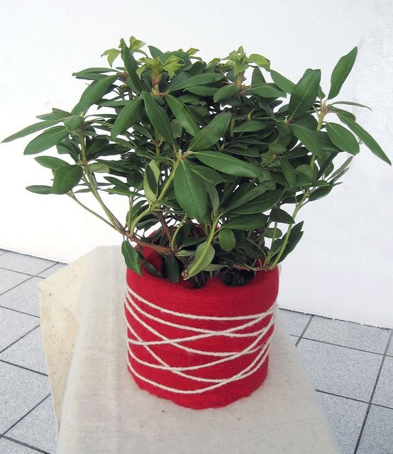 Winterschutzmatte aus Schafwolle in Rot, B/H: 200 x 20 cm - Bild 1