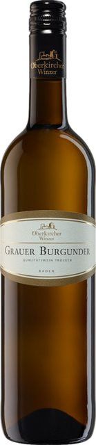 Oberkircher Winzer eG Pinot Grigio Weißwein, Baden, trocken, 2025, 0,75 l - Bild 1