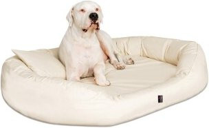 Tierlando Orthopädisches Hundebett SAMMY in Beige mit abnehmbarem Bezug und erhöhter Umrandung, B/T/H: 140 x 105 x 30 cm - Bild 1