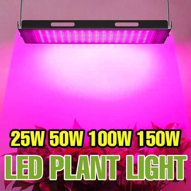 NJHIKG LED Vollspektrum Pflanzenlampe 150 W für Indoor Hydrokultur und Gewächshaus, Schwarz - Bild 1