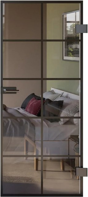 Skyscope Portal Drehtür-Set Slimwork Typ 8 in Schwarz und Transparent aus Aluminium und Glas, B/H: 95,9 x 197,2 cm, DIN Rechts - Bild 1
