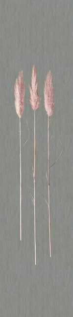 Marburg Vliestapete Natural Opulence DD Grafisch Dunkelgrau B: 70 cm, L: 330 cm - Bild 1