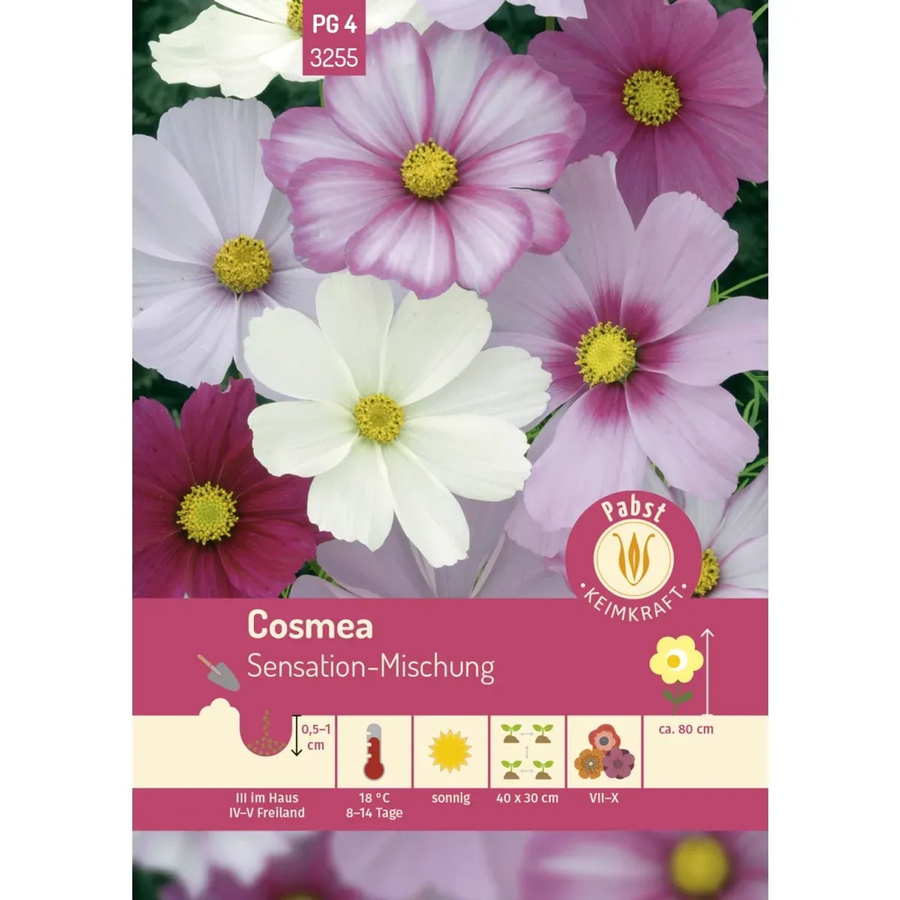 Pabst Keimkraft Cosmea Sensation-Mischung Saatgut für Beete und Rabatten - Bild 2