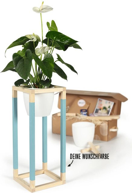 CREATE! by OBI DIY Pflanzständer Mittel aus Holz in Multicolour mit geometrischer Form - Bild 1