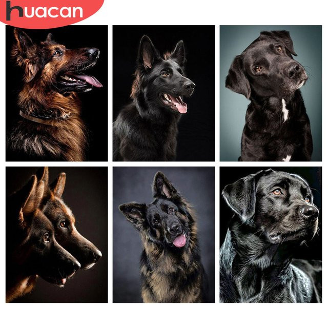 HUACAN Diamantmalerei Hund Schwarz Tier als 5D Kreuzstich Mosaik Bild mit runden Steinen in Mehrfarbig - Bild 1
