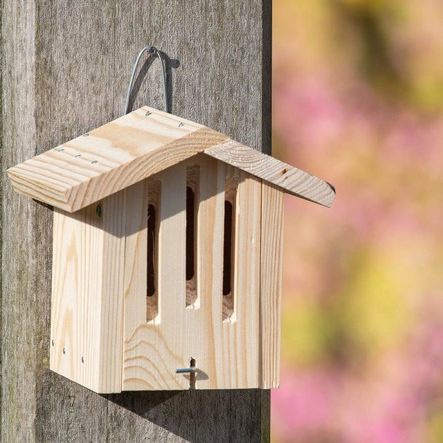 Vivara Kids Bausatz für Schmetterlingskasten Dana aus Holz in Braun - Bild 1
