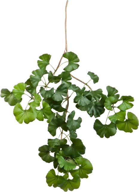 Künstlicher Gingko-Zweig von Aplanta Gabriele, Höhe: 60 cm - Bild 1