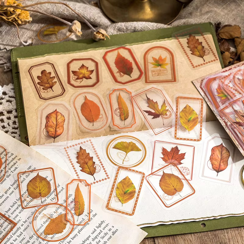 Mist Flower Series PET-Aufkleber Set mit 30 Stück in 6 verschiedenen Stilen, dekorative Retro-Pflanzenaufkleber für DIY-Schreibwaren und Notizbücher, Mehrfarbig - Bild 3