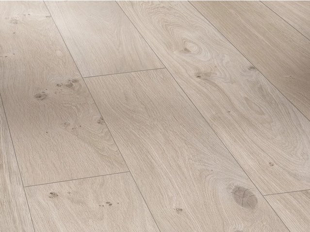 Parador Basic 400 Laminat in Eiche Natur Grau, wasserfest, 8 mm Stärke - Bild 1