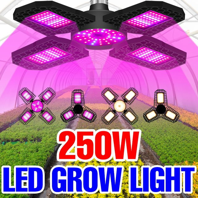 CanLing LED-Wachstumslampe mit vollem Spektrum, 250 W, E27/E26, faltbar, Schwarz - Bild 1