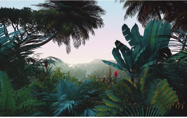 Komar Fototapete Jungle Morning in Grün und Petrolblau, B: 400 cm, H: 250 cm - Bild 1