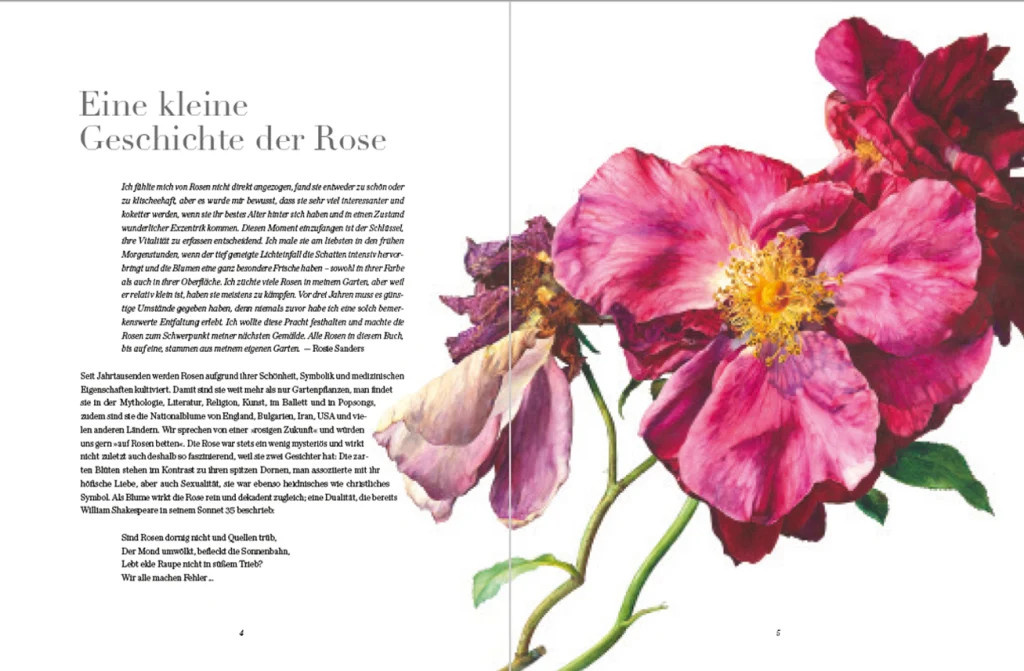 Rosen von Rosie Sanders, Sachbuch - Bild 1