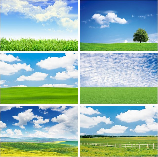 Yeele Fotohintergrund Naturlandschaft mit grünem Gras und blauem Himmel für Baby-Porträts und Fotostudios - Bild 1