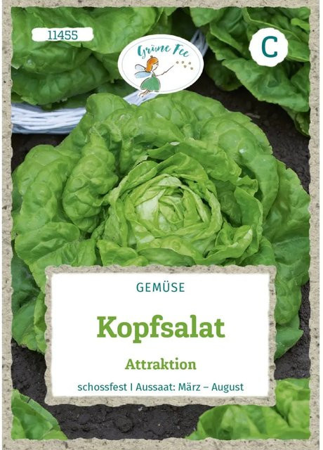 Grüne Fee Kopfsalat Attraktion Saatgut für den Sommer und Frühsommer - Bild 1