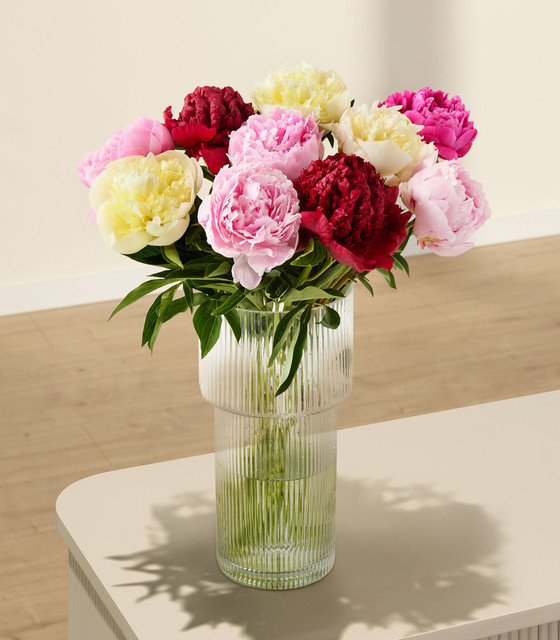 BLUME2000 Pfingstrosen Bunch pink white rosa multicolour 10 Stiele - Bild 1