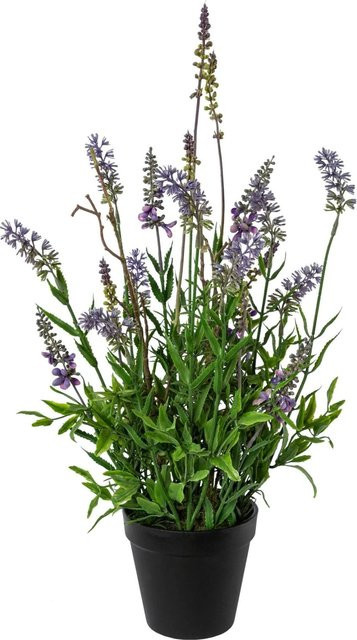 Modern Living Kunstpflanze Lavendel II in Grün und Lila mit schwarzem Topf, Tischdeko - Bild 1