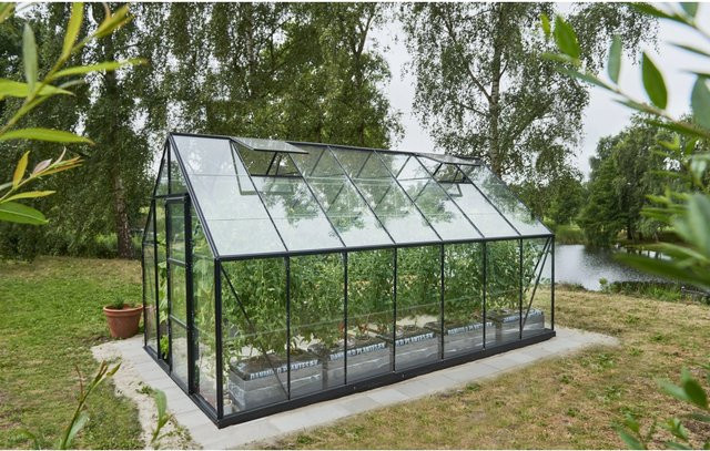 Halls Gewächshaus Universal 148 mit Satteldach und Sicherheitsglas in Schwarz mit 11,5 m² Fläche - Bild 1