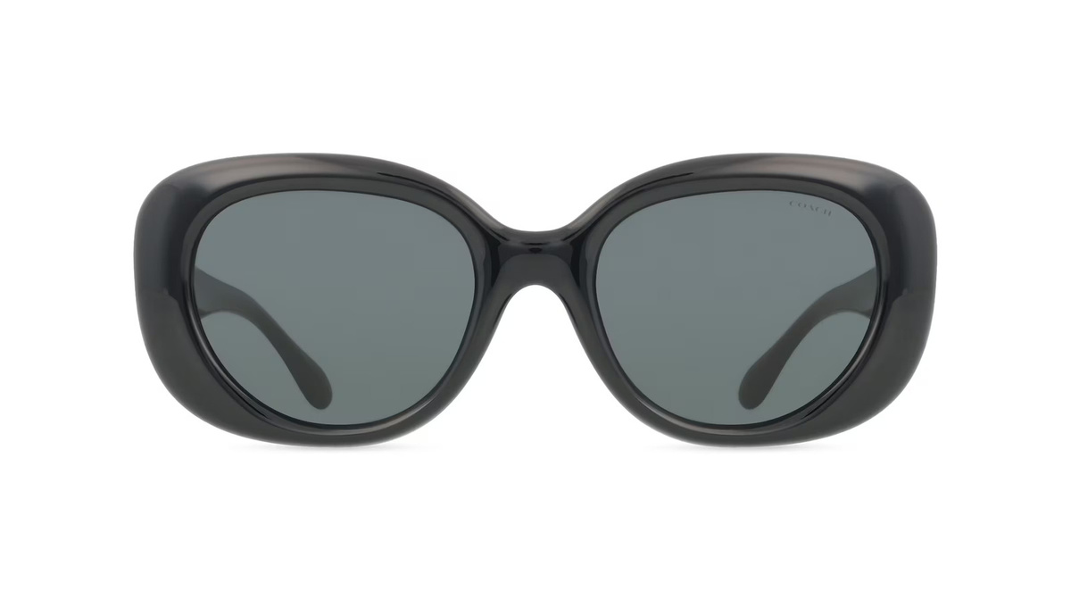 Coach 0HC8391U Sonnenbrille, Damen, Vollrand, Oval, Kunststoff, schwarz - Bild 1