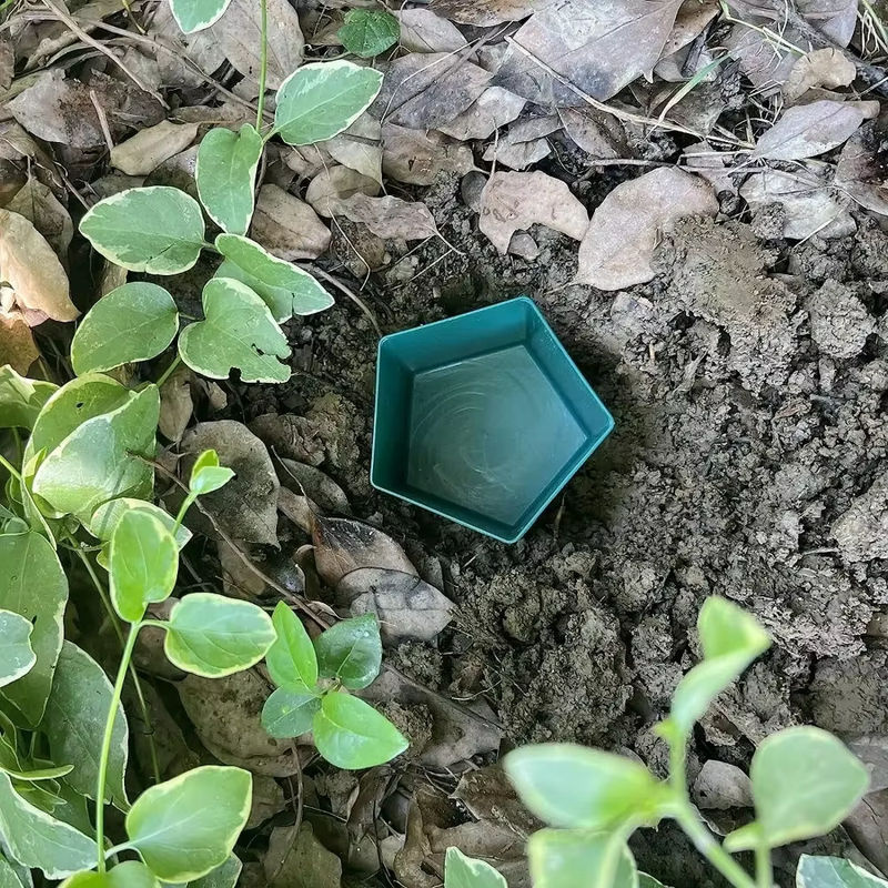 Ninth World Umweltfreundlicher Schneckenkäfig zur Schädlingsbekämpfung für deinen Garten und deine Farm - Bild 3
