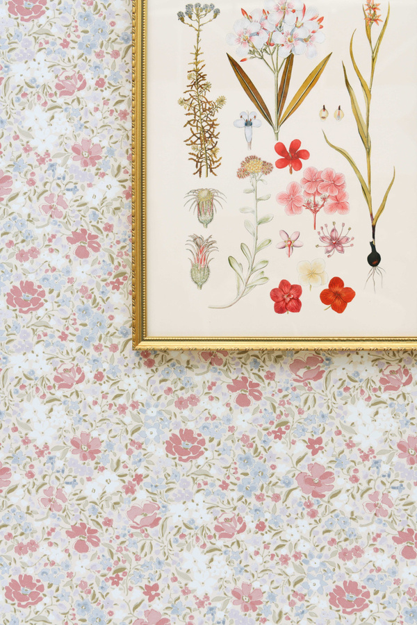 Quenin Tapete Fleurettes in Pompadour Pink Multicolour mit floralem Design und botanischem Muster aus Vlies - Bild 1