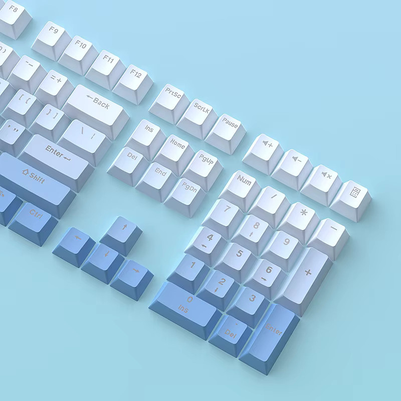 Oeny PBT Double Shot Tastenkappen mit Farbverlauf Blau und Weiß im OEM-Profil für MX Switches und RGB-Gaming-Tastaturen, 130+ Tasten - Bild 2