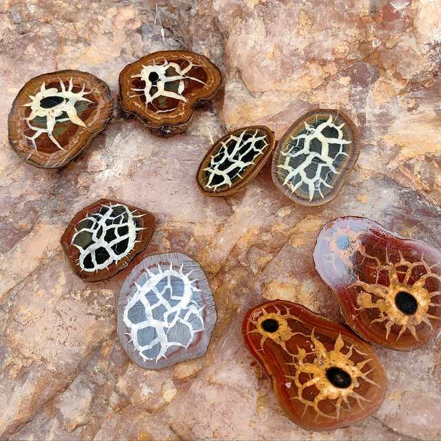 Marokkanischer Schildkrötenrücken-Stein von CrystalHola in Multicolour für Heimdekoration und Schmuckherstellung - Bild 1