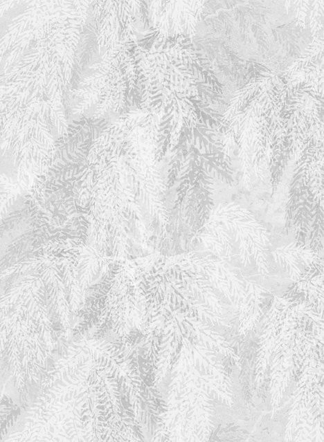 Sandberg Mural Ceder Tapete Botanical Nordic in Grau aus Vlies - Bild 1