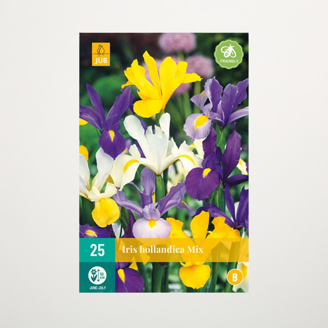 BLUME2000 Holländische Schwertlilien Mix mit 25 Knollen für Gartenbeete und Balkonpflanzen - Bild 1