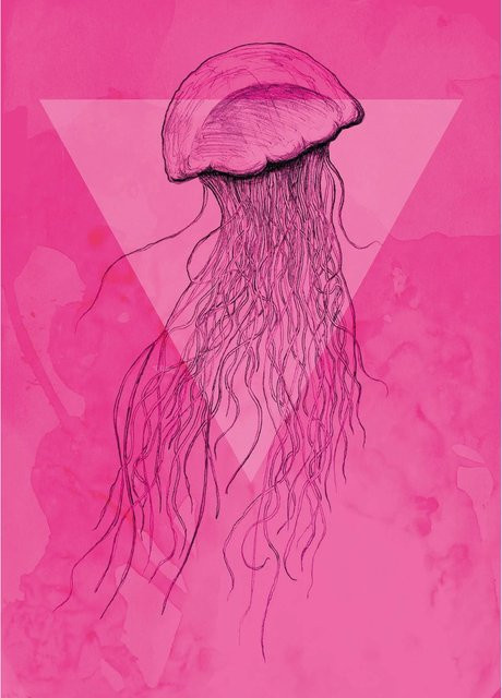 Komar Wandbild Jellyfish in Pink, Poster aus Qualitätsvlies, Breite: 50 cm, Höhe: 70 cm - Bild 1