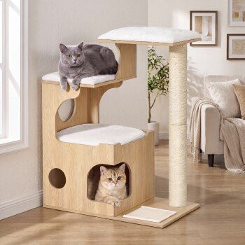 Feandrea Kratzbaum für Katzen mit Höhle, Sisal-Kratzmatte und waschbaren Plüschkissen, Höhe: 86 cm - Bild 1